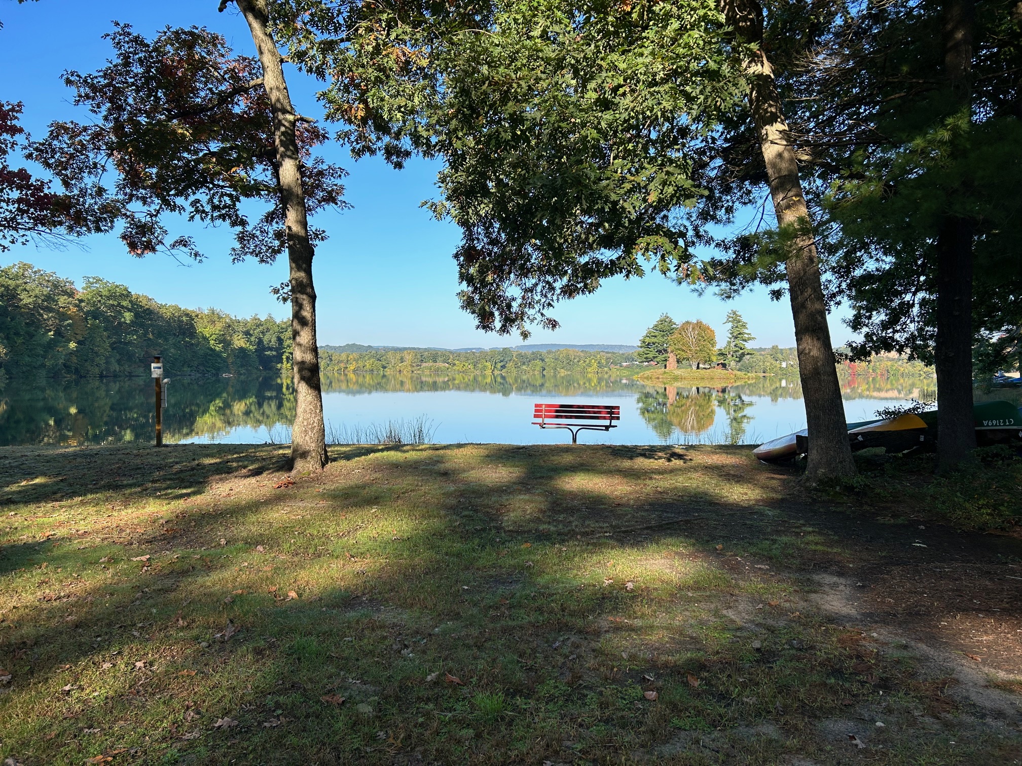 Lake with trees and a bench reflecting.